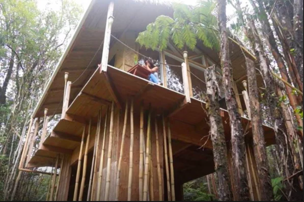 Including travel costs, the purchase of land, and any additional expenses, the whole project came in at just $23,000 (Photo: Kristie Wolfe)