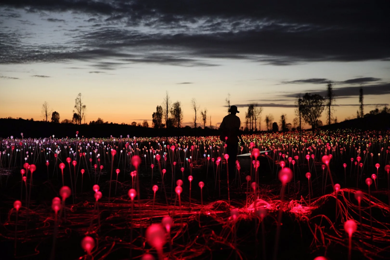 Field of Light uses 144 projectors as light sources