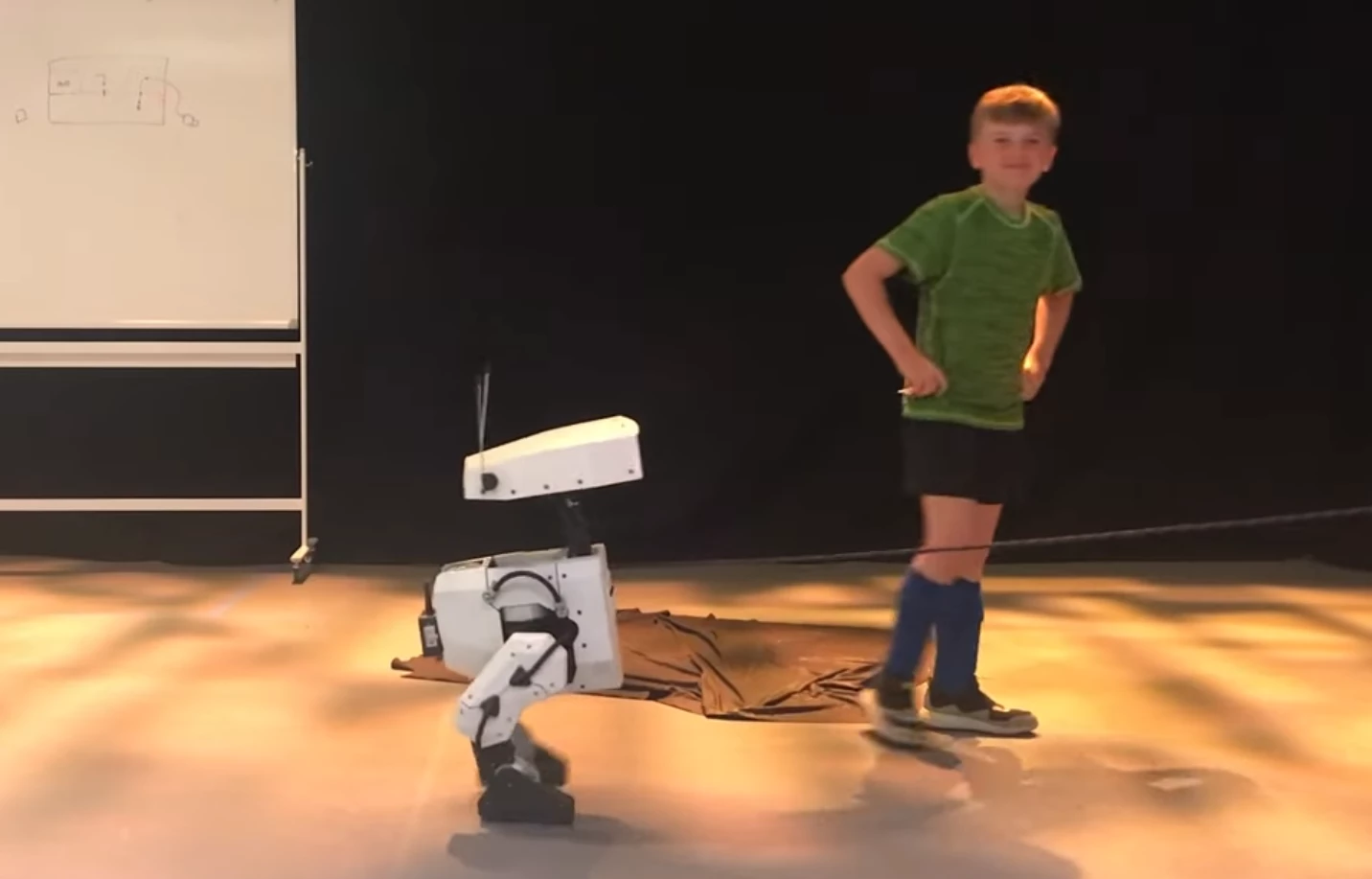 Robotic companions will need stylized body language to communicate