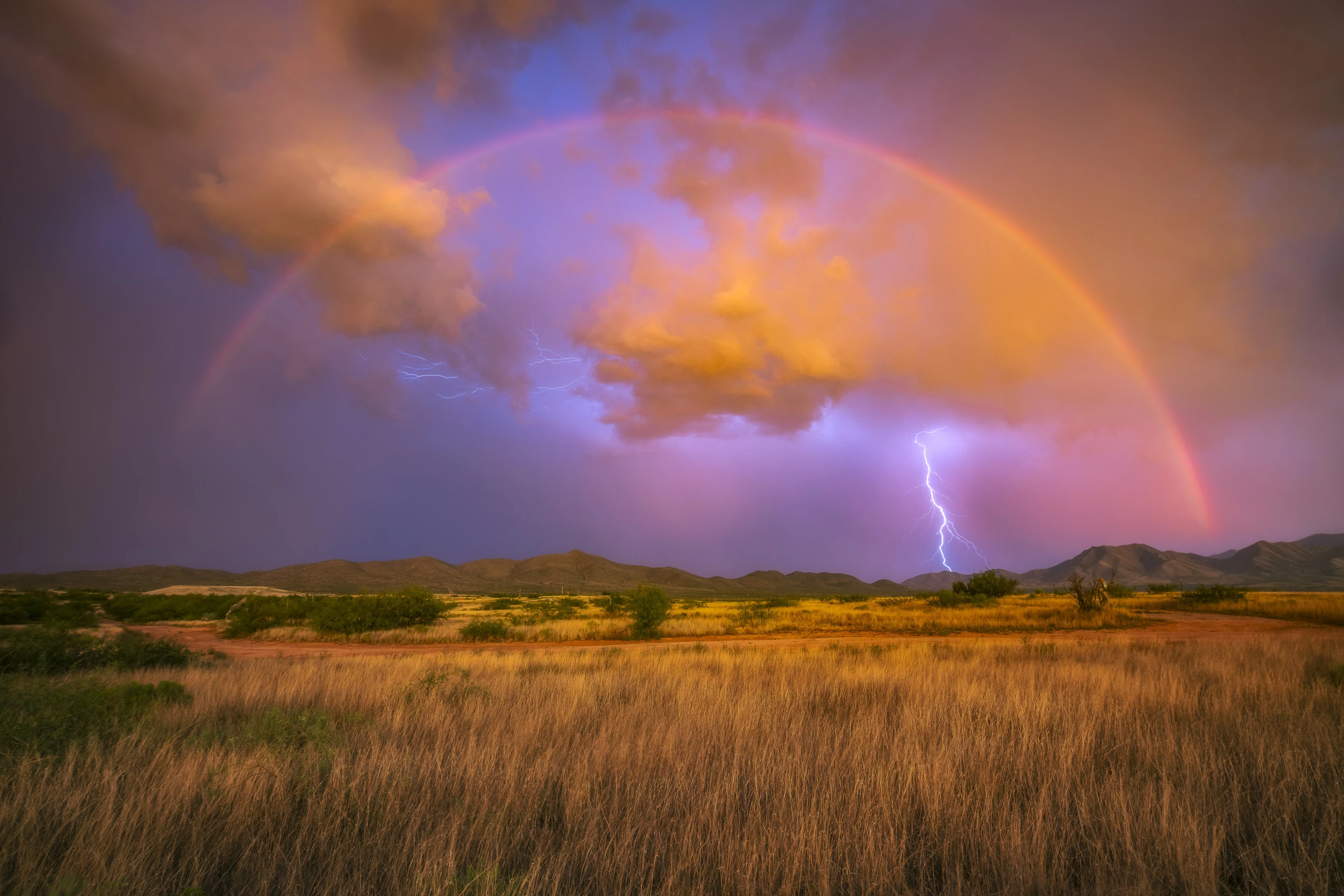 Top 101. 'Lightning Rainbow', Southern Arizona, USA