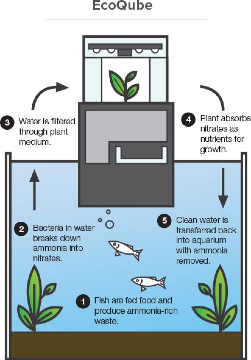 The cycle the EcoQube C uses to maintain its own ecosystem