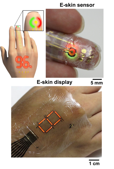 The team demonstrated its functionality by combining red and green PLEDs with a photodetector to track and display blood oxygen levels
