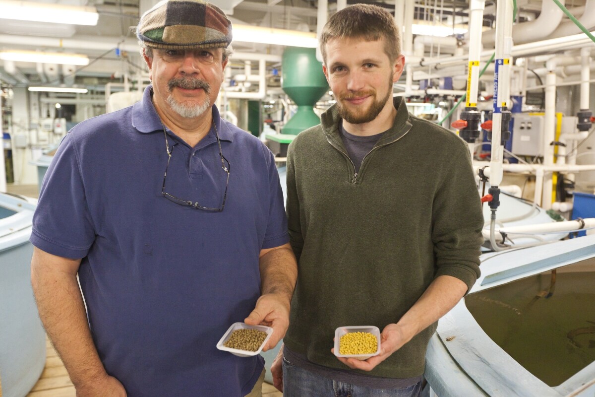 Dr. Allen Place (left) and Dr. Aaron Watson, developers of the vegetarian fish feed (Photo: University of Maryland Center for Environmental Science/Cheryl Nemazie)
