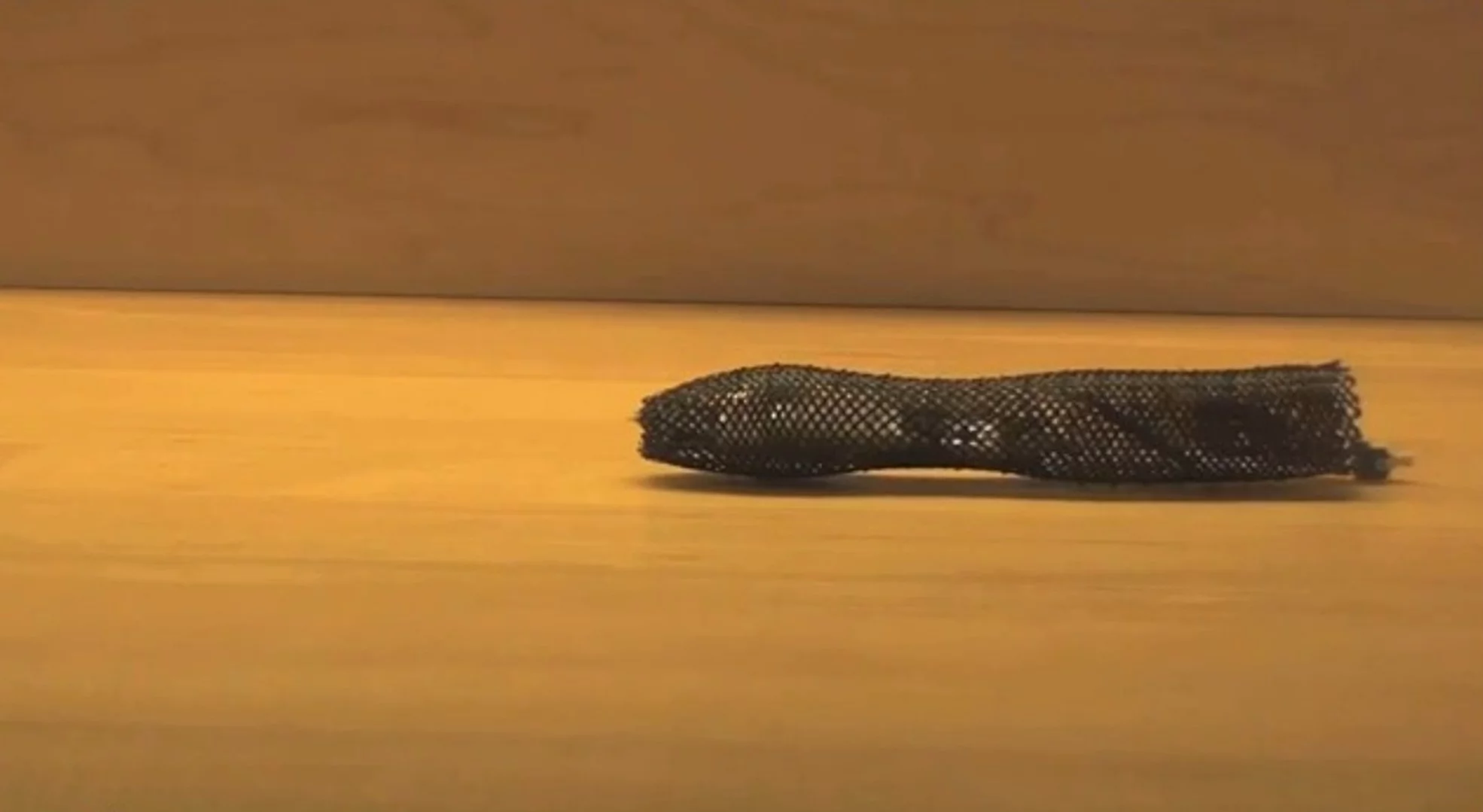 Meshworm imitates to movements of an earthworm (Photo: MIT)