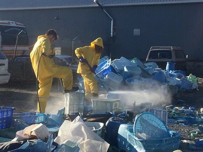 Washing five tons of plastic