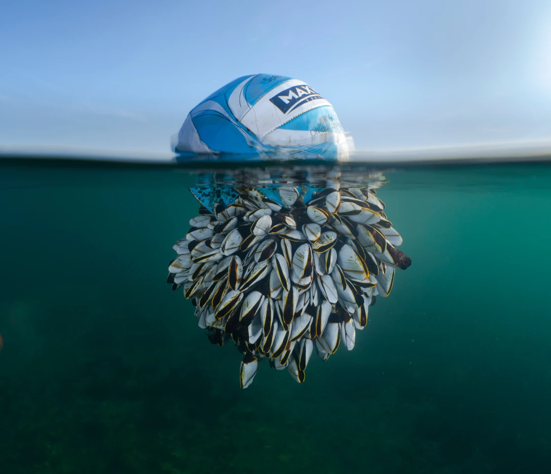 "British Drifter" – Ryan Stalker, British Wildlife Photographer of the Year 2024 and Winner of Coast & Marine. Taken with Sony A7R IV with Sony 28-60mm f/4-5.6 lens. 29mm; 1/200th second; f/7.1; ISO 80