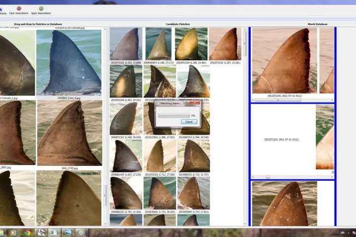 Results from an Identifin search query