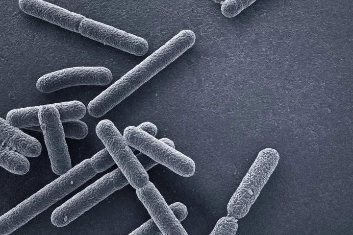 Researchers have uncovered a new mechanism for killing antibiotic-resistant gram-negative bacteria such as E. coli