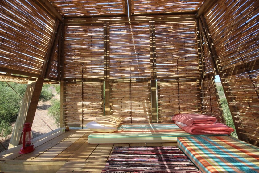 The Tragata's interior looks pleasantly shaded