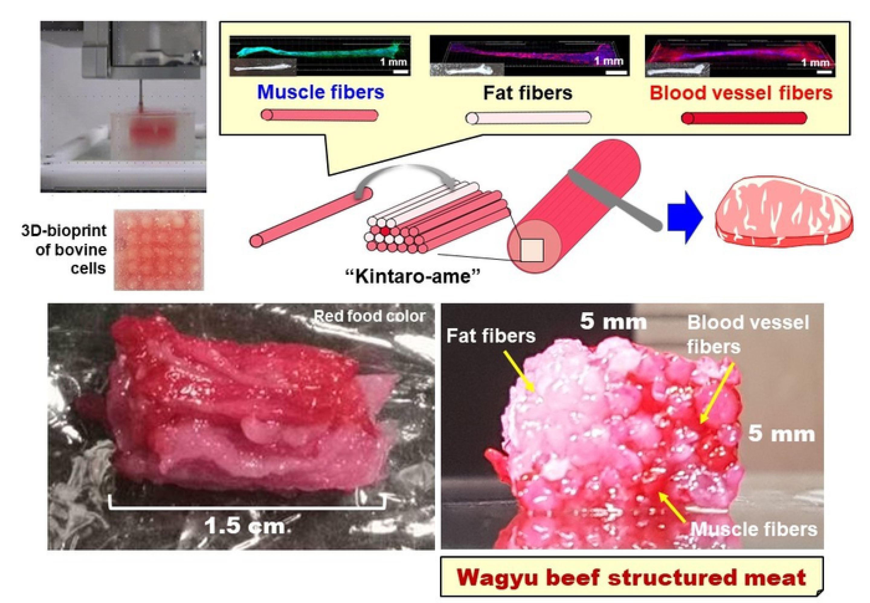 Japanese scientists produce first 3Dbioprinted, marbled Wagyu beef