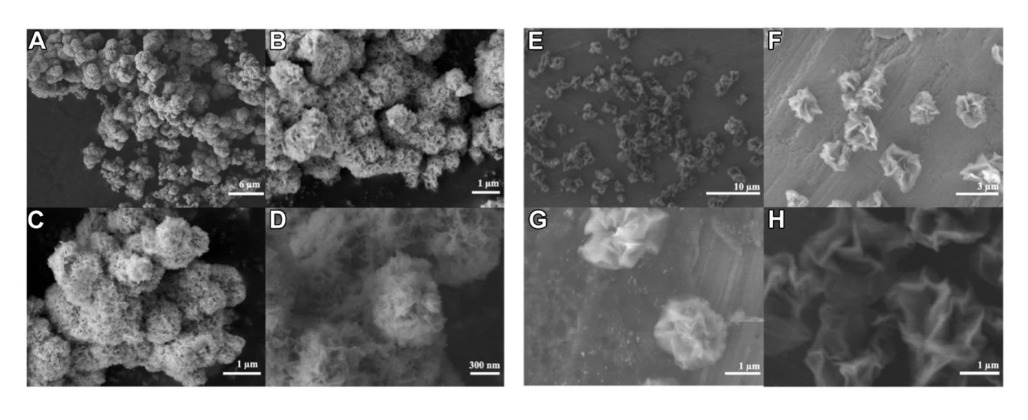 Scanning electron microscope (SEM) images of MoS2 (left) and MoSe2 (right) nanoflowers.