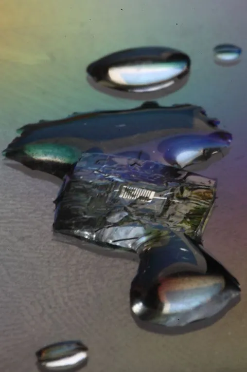 All of the materials are biocompatible, and are reportedly harmless once they are absorbed by the body (Photo: Beckman Institute, University of Illinois and Tufts University)