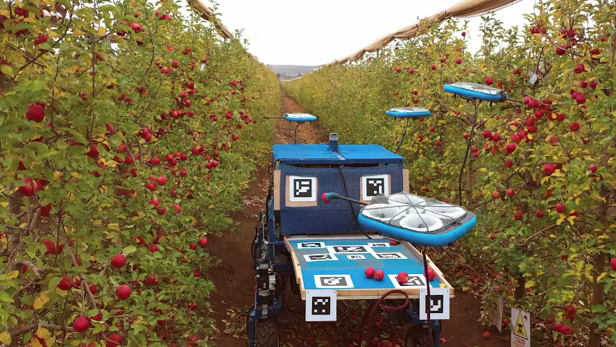 A Tevel FAR unit makes its way through an apple orchard