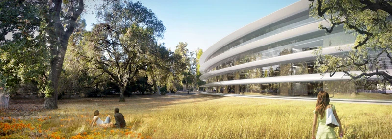 Picnic time on Apple's campus