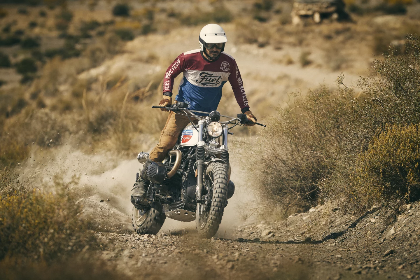 Coyote: built to be ridden, and ridden hard