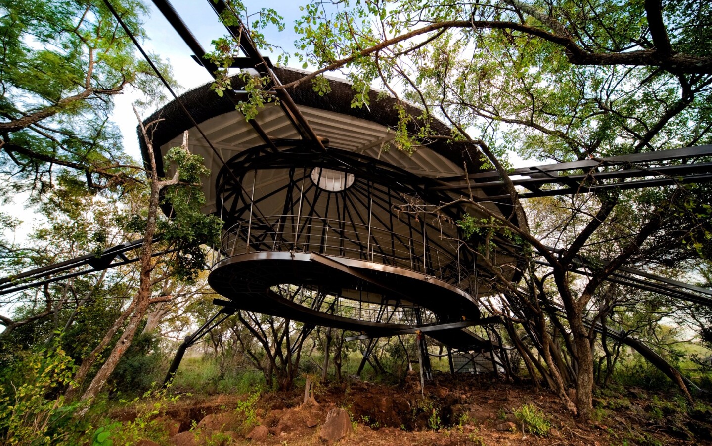 "Malapa" Hominid Fossil Site Cover + Visitors' Platform, Johannesburg, South Africa (by Fellows Consulting)