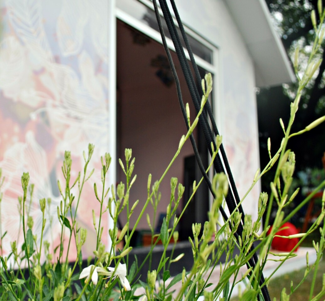 The tiny homes are quick to assemble (the process is likened to erecting a tent and can be managed by a single person)