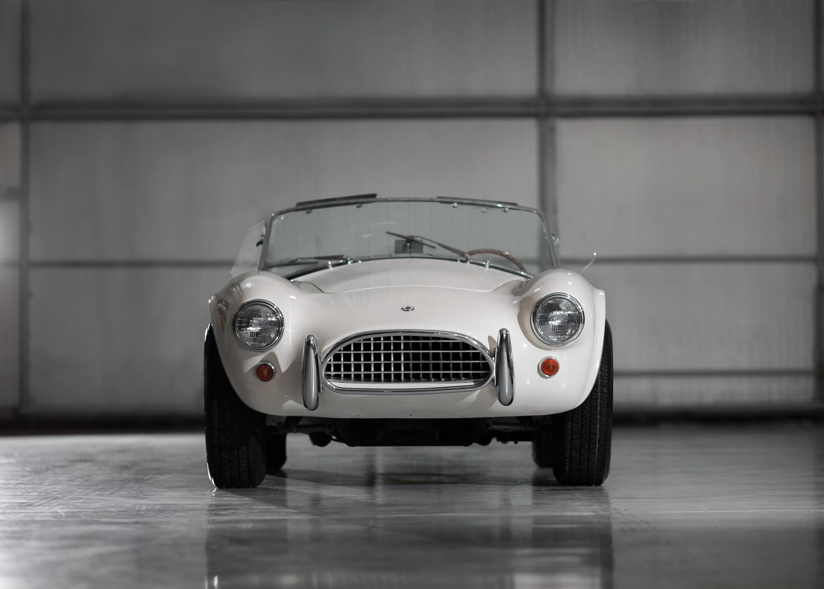 The Cobra was put into storage in 1978 when its owner at the time went abroad to for military service. It was recently rediscovered and restored to near original condition