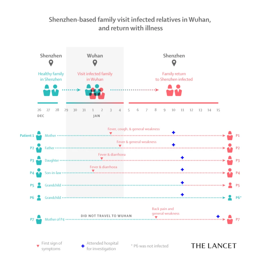 An infographic depicting the stages of viral infection in a single studied family