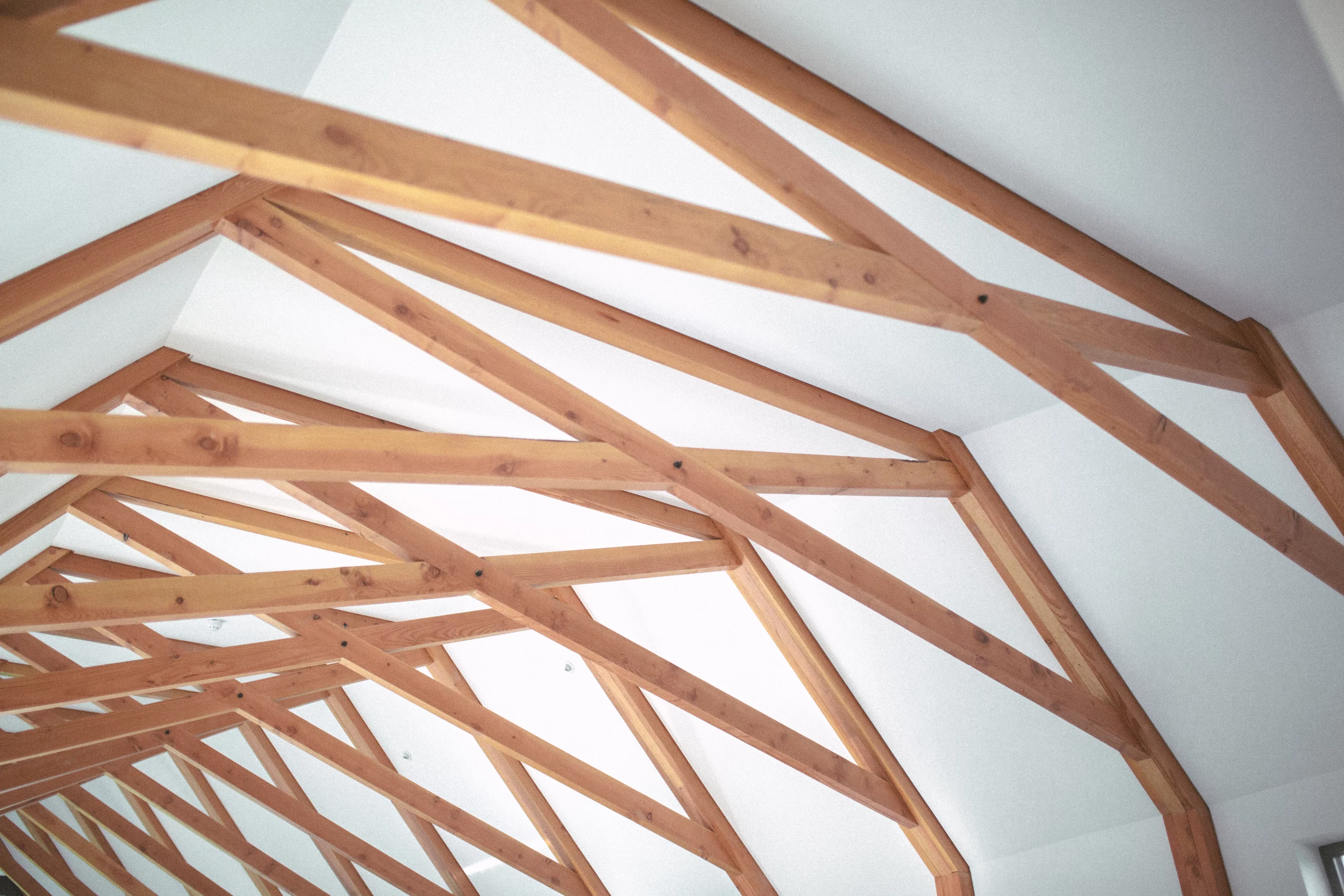 Visitors to Black Barn are greeted by eye-catching timber scissor trusses