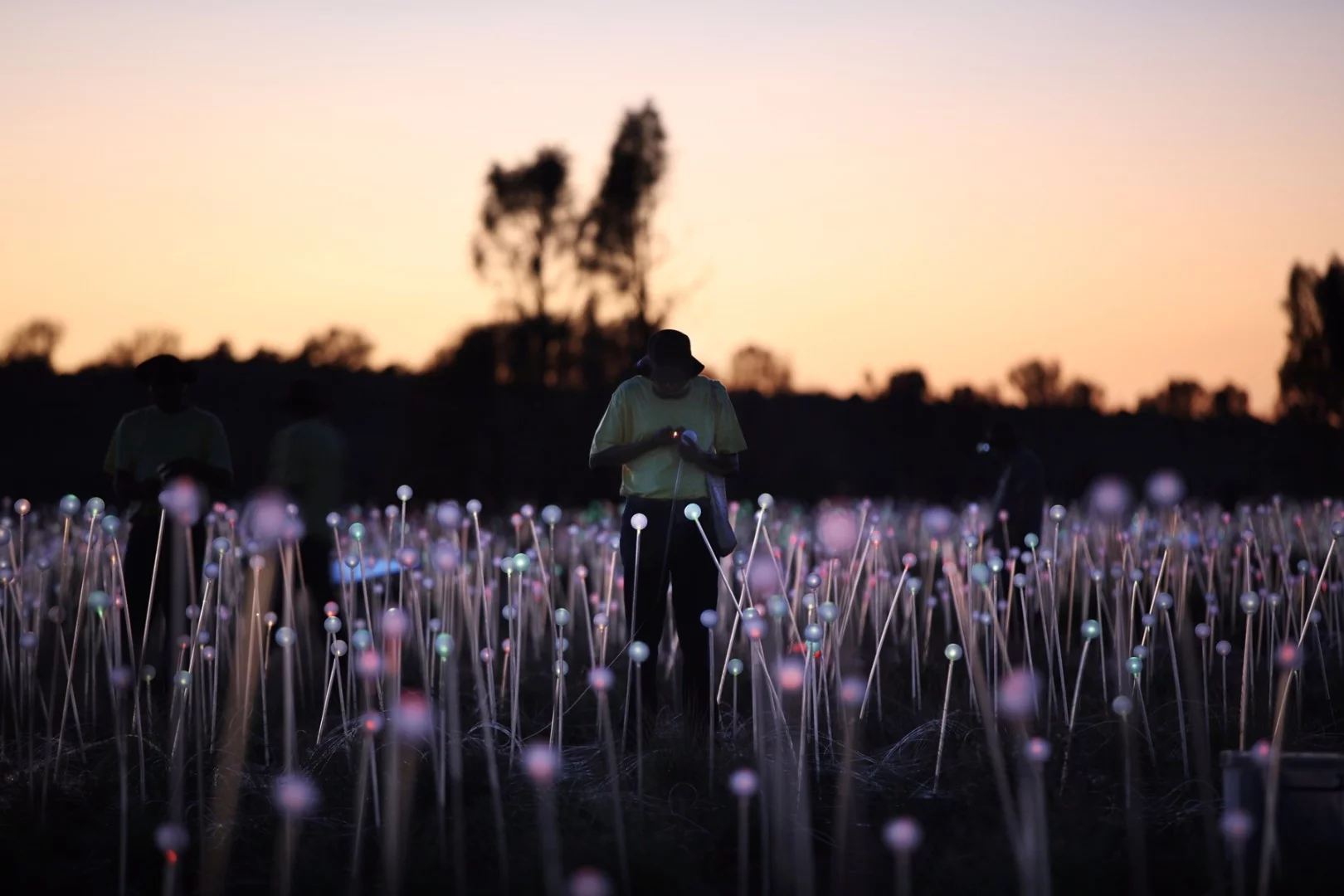 Bruce Munro conceived of the Field of Light installation during a visit to Uluru in 1992