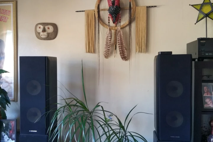 The Thonet & Vander Koloss speakers can be separated from each other by up to 7 ft (2.1 m)