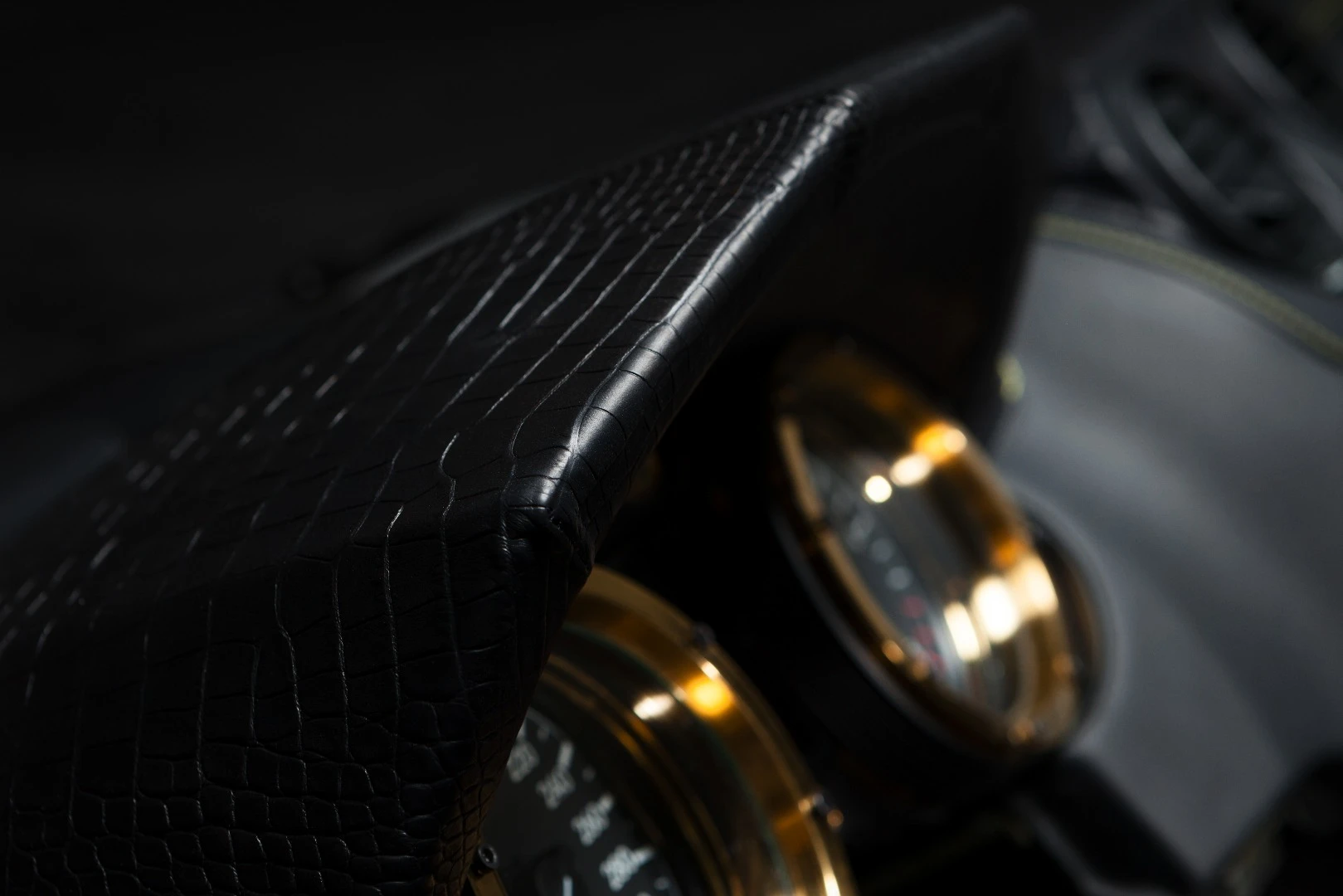 Black Alligator dash