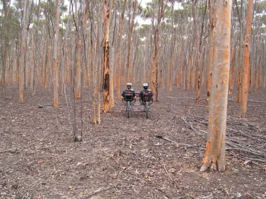 Pedal power: the four-wheeled transport Australians Roger Chao and Megan Kerr plan to ride more than 7,450 miles across Russia and Asia