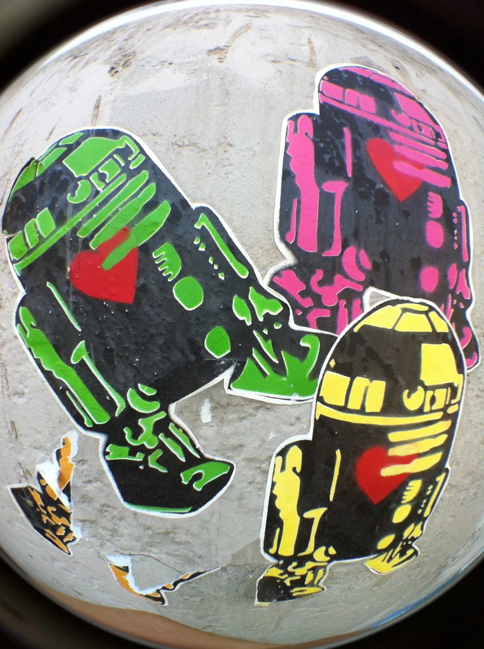 A photo taken with the Mobi-Lens fisheye adapter