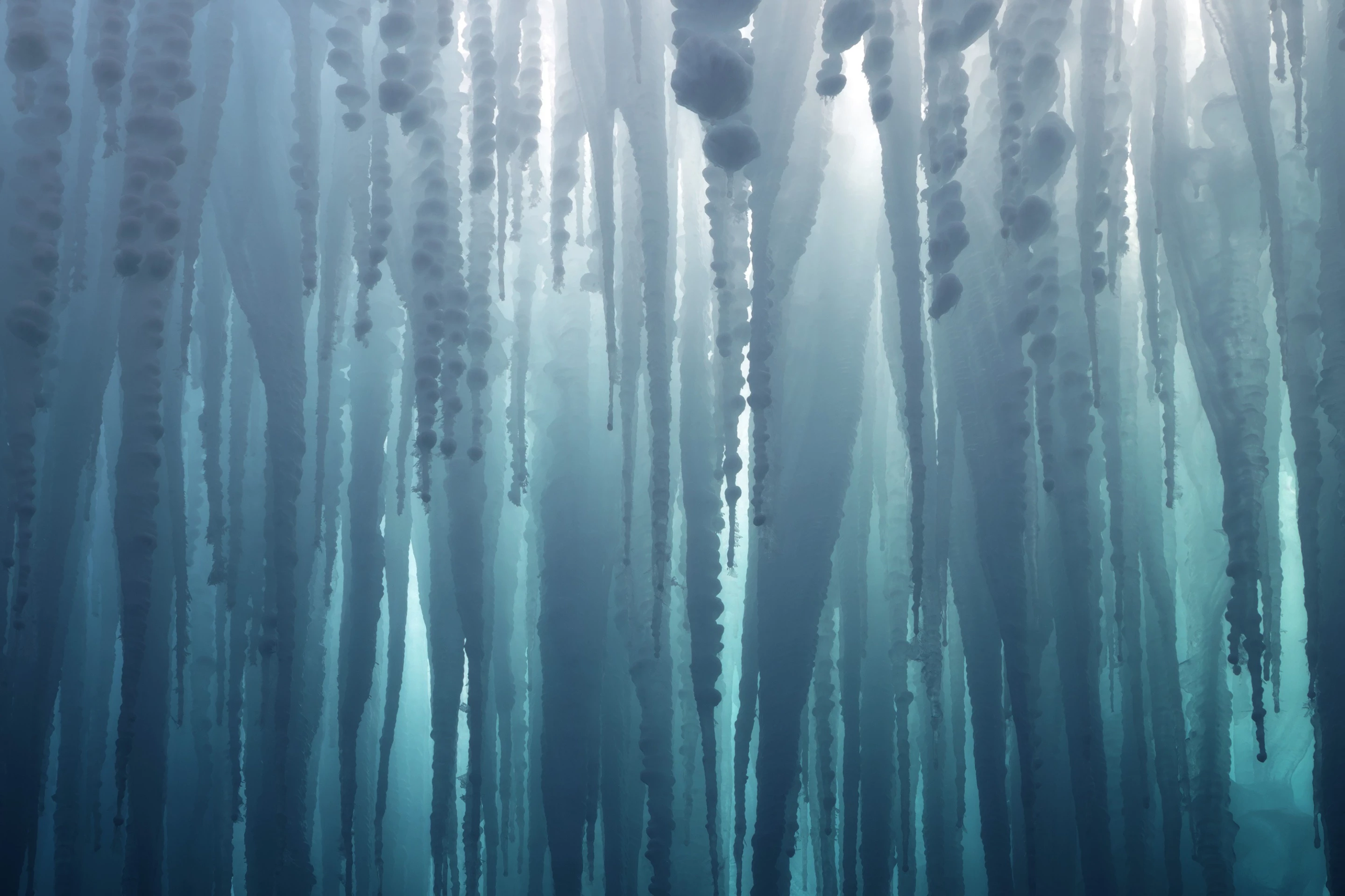 Winner - Photographer of the Year. Portfolio