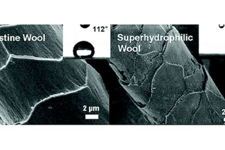 The silica nanoparticle coating changes the surface of the wool to make it more water absorbent (Image American Chemical Society)