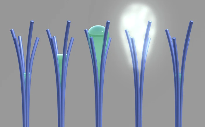 Researchers have accidentally created nanorods that can absorb water at low humidity and expel it as the humidity increases