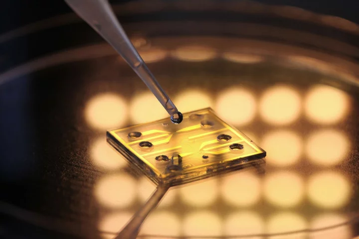 The SBT Aqua sensor reportedly detects all types of bacteria present in a water sample, along with their concentrations