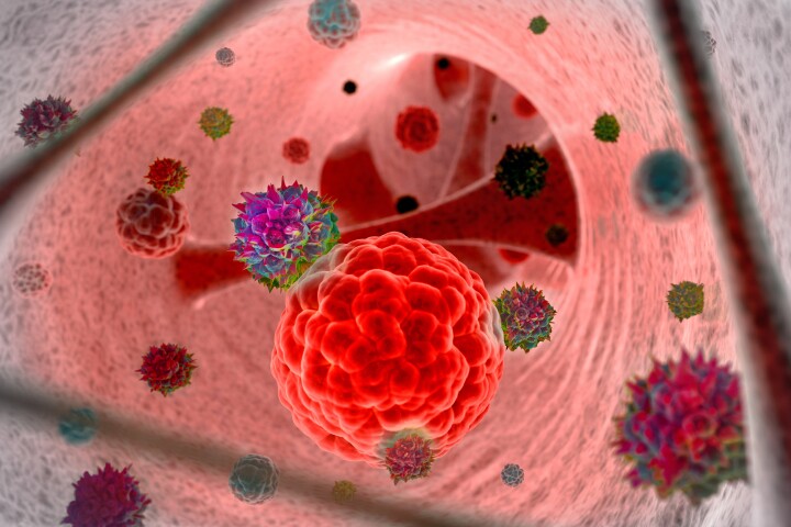 The herpesvirus is designed to be injected into tumors and attract cancer-killing immune cells