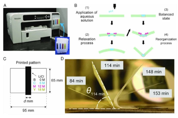 The researchers replaced the ink in an inkjet printer's cartridges with varying concentrations of salt water