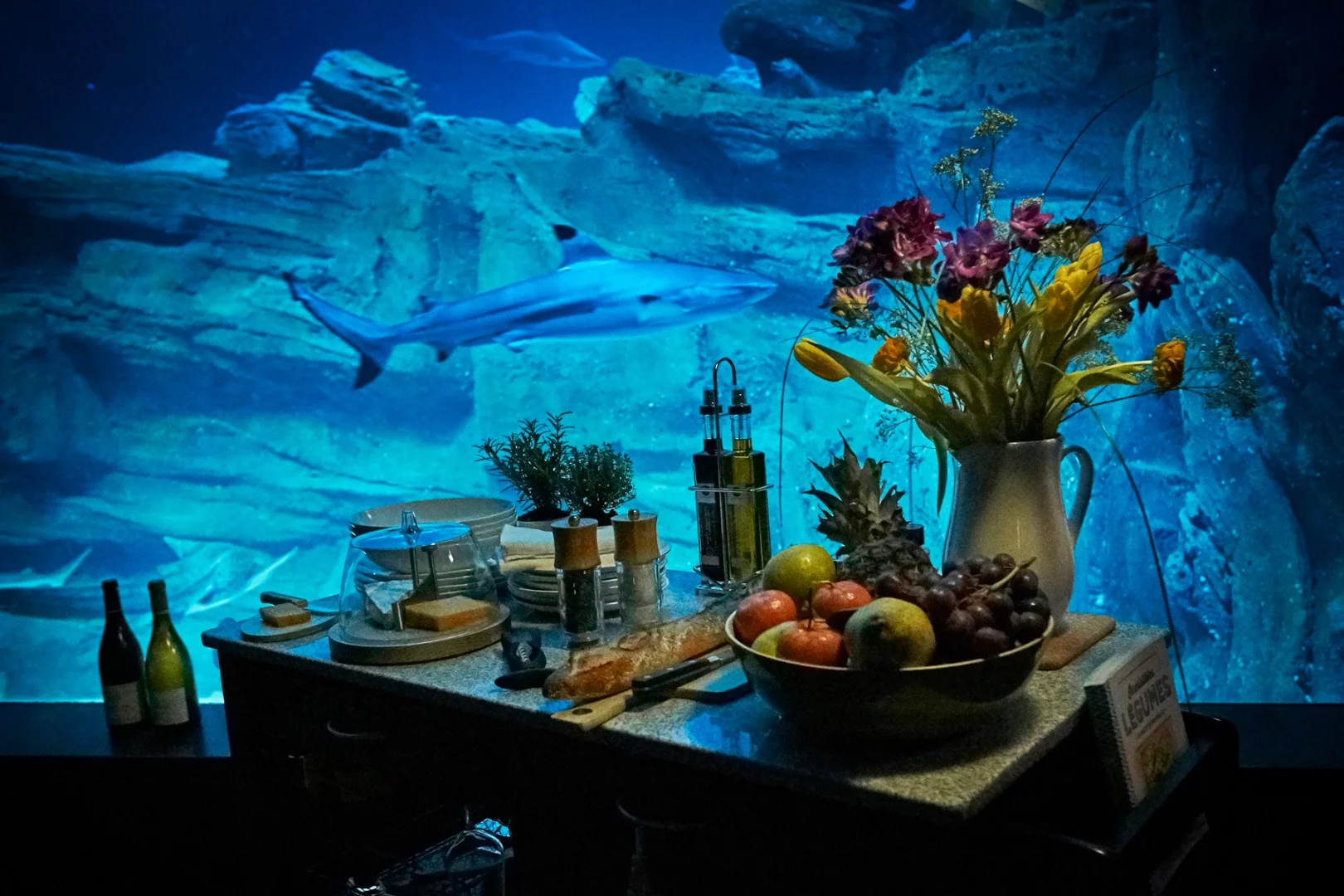 The underwater bedroom was designed specifically for the aquarium