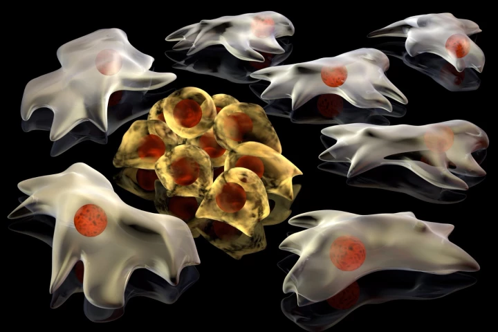 Could graphene play a role in cancer detection?