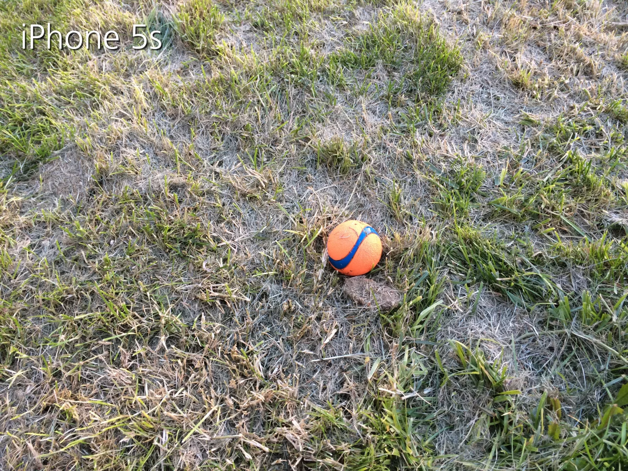 Outdoor shot taken with the iPhone 5s