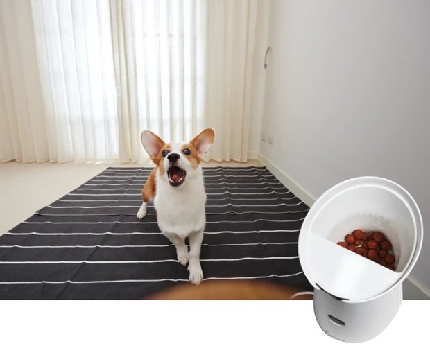 You can load the treat container up with your choice of treat