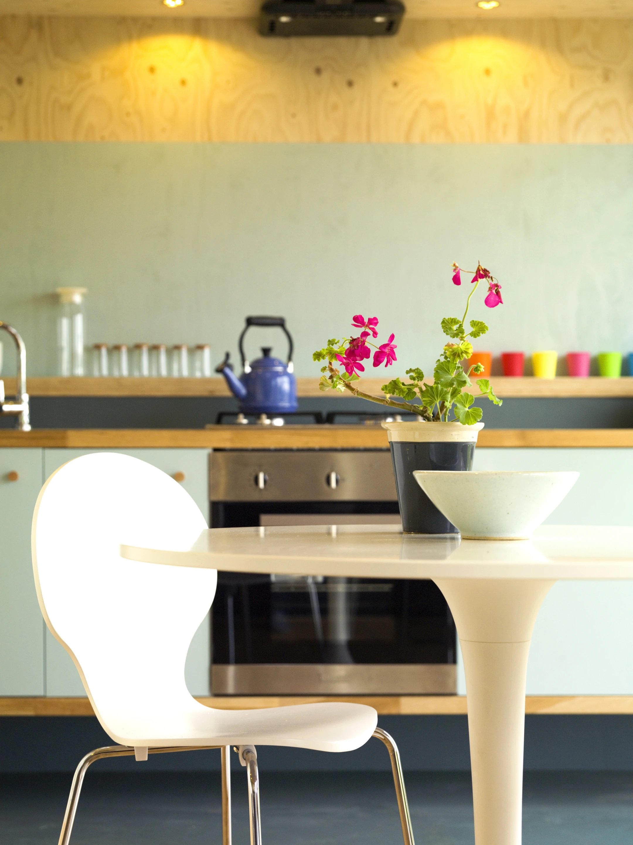 Judging from the photos at least, the Echo Eco Pods can be fitted together for a relatively large kitchen, in tiny-house terms at least (Photo: Echo)