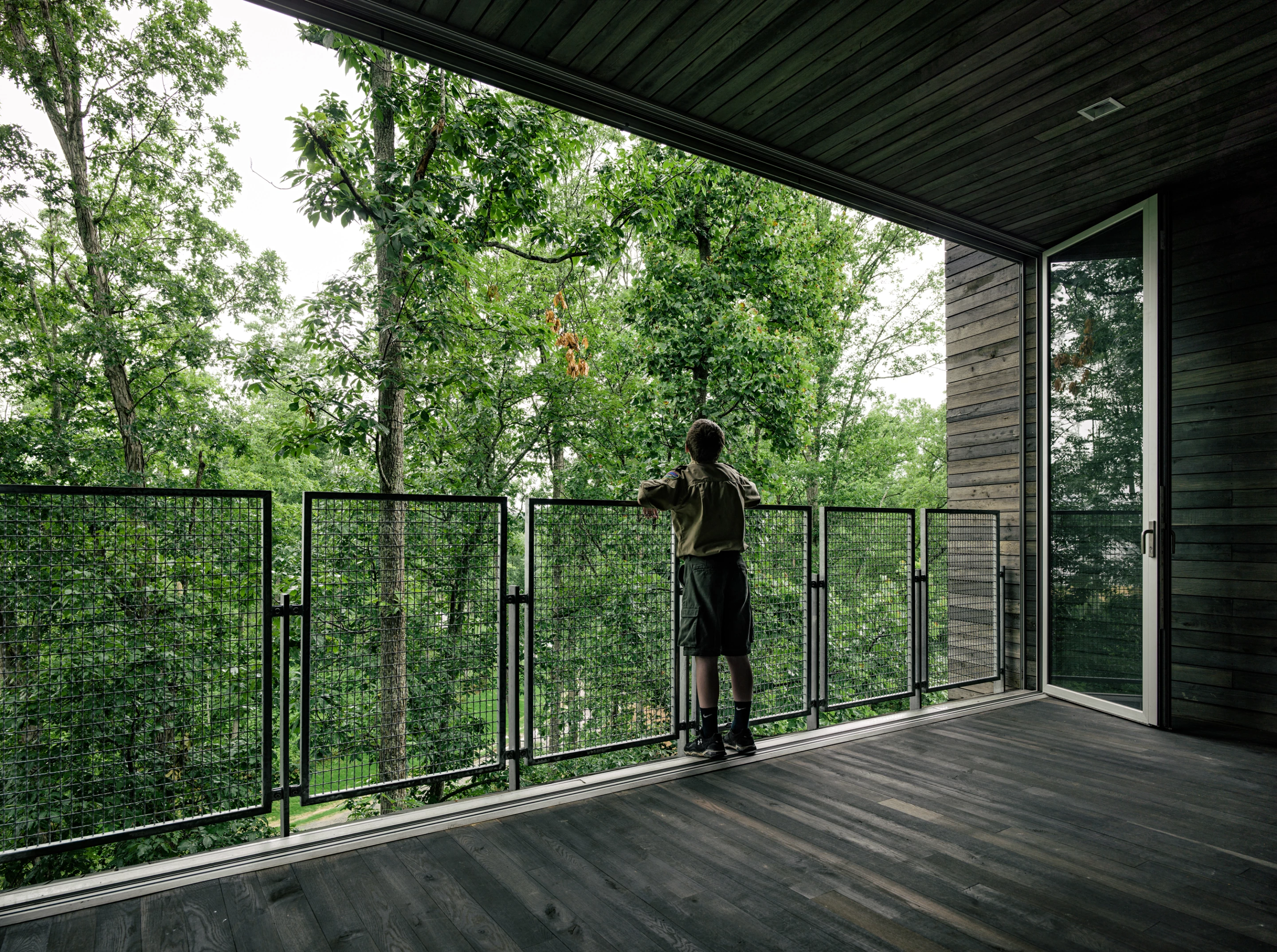 Indoor spaces of the Sustainability Treehouse are immersed within the forest canopy and rely on natural cooling and foliage for shading (Photo: Joe Fletcher)