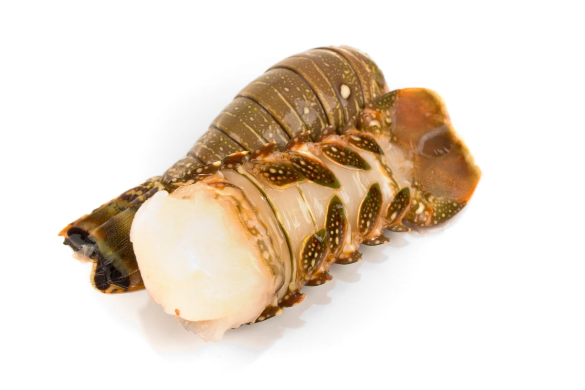 A pair of lobster tails, with the translucent membrane visible on the underside of the one on the right