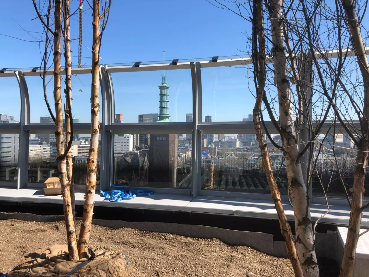 Depot Boijmans Van Beuningen's rooftop park will be open to the public