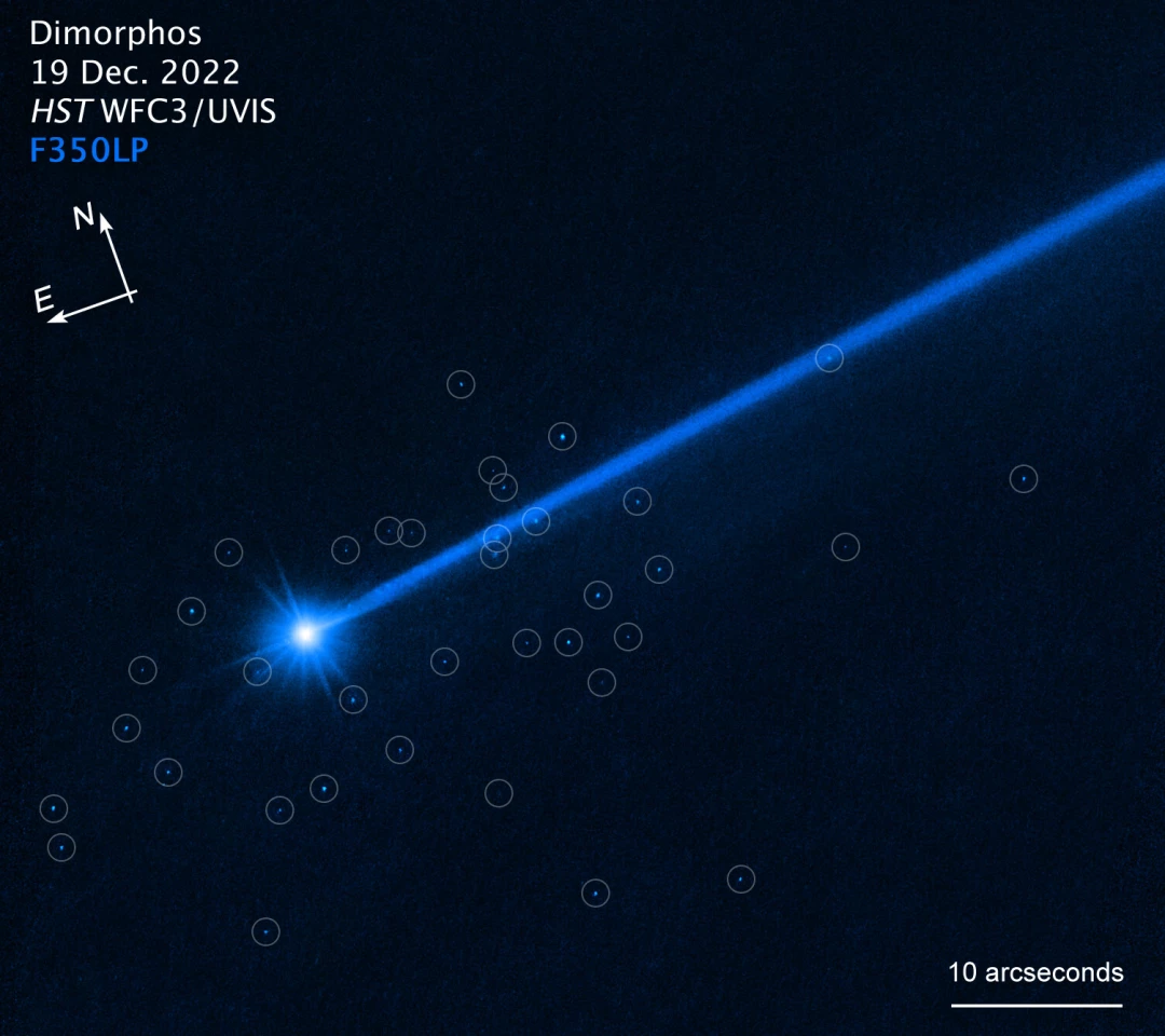 This NASA/ESA Hubble Space Telescope image of the asteroid Dimorphos shows the dislodged boulders in circles