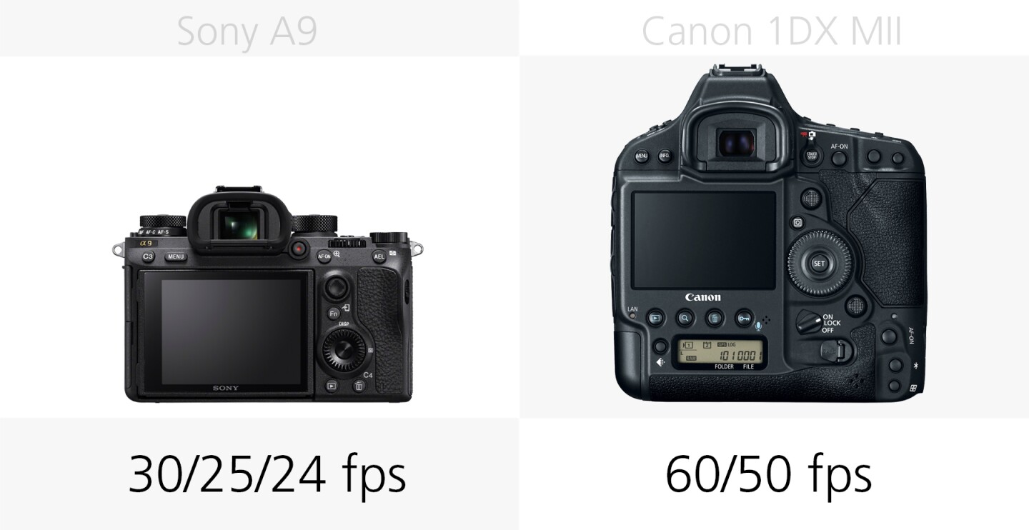 Comparing the 4K video frame-rates of the Sony A9 and Canon 1DX Mark II