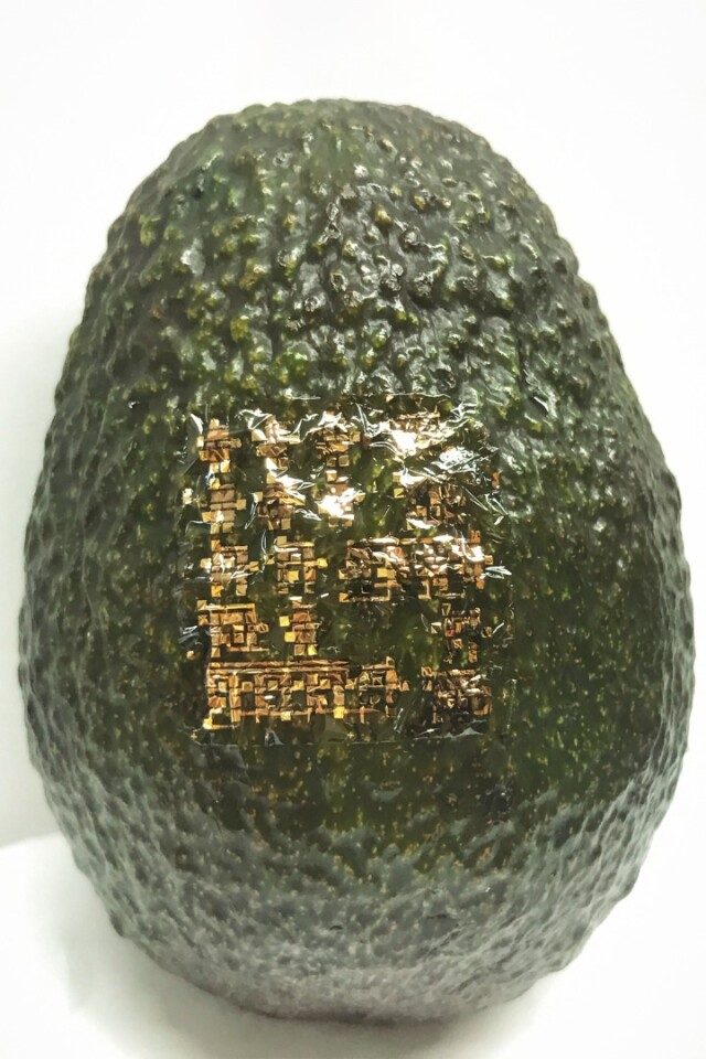 The semiconductor, seen here on an avocado, can be molded onto any kind of surface