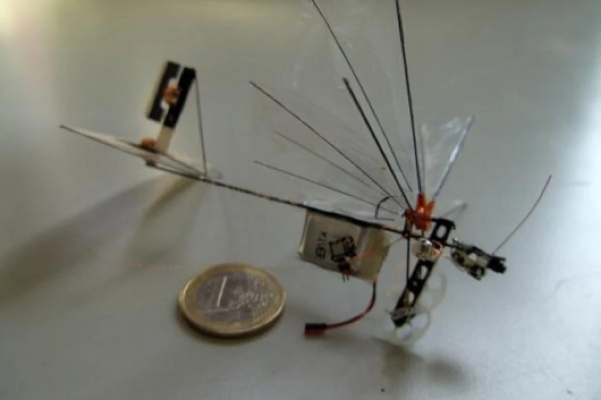 The DelFly Micro