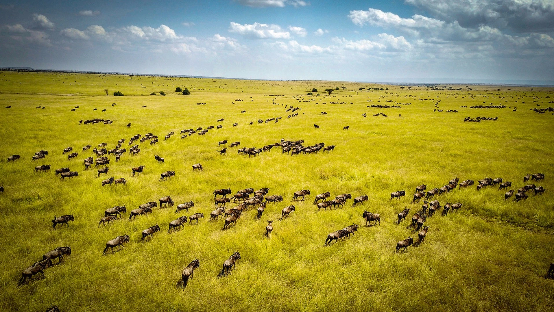 Porsche World Expedition 2018: Leg 3 covers 4,700 km from Johannesburg to Serengeti