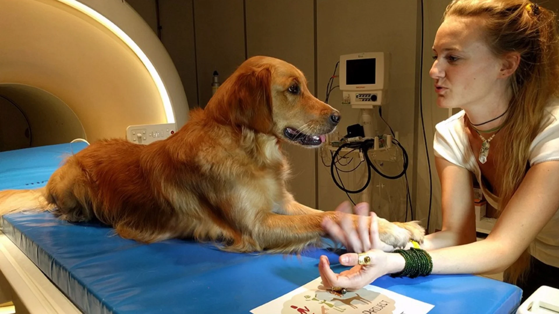 An Eötvös Loránd University researcher with one of the canine participants of the study