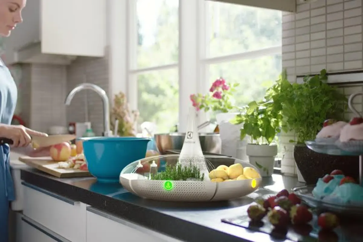 Bloom won the Electrolux Design Lab 2015